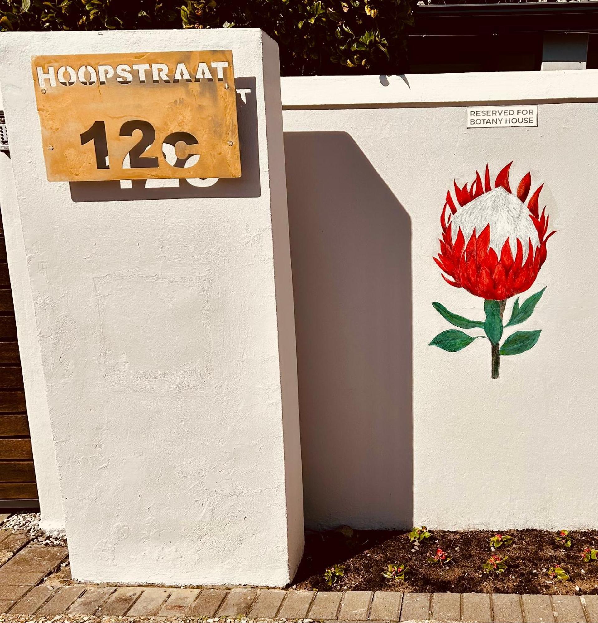 Botany House, In The Heart Of Hermanus Villa Eksteriør billede